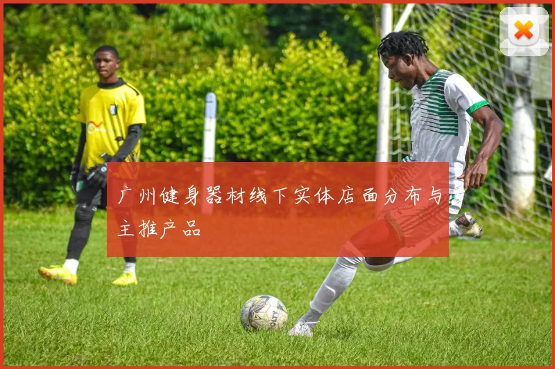广州健身器材线下实体店面分布与主推产品