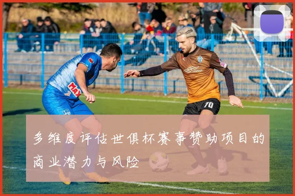 多维度评估世俱杯赛事赞助项目的商业潜力与风险