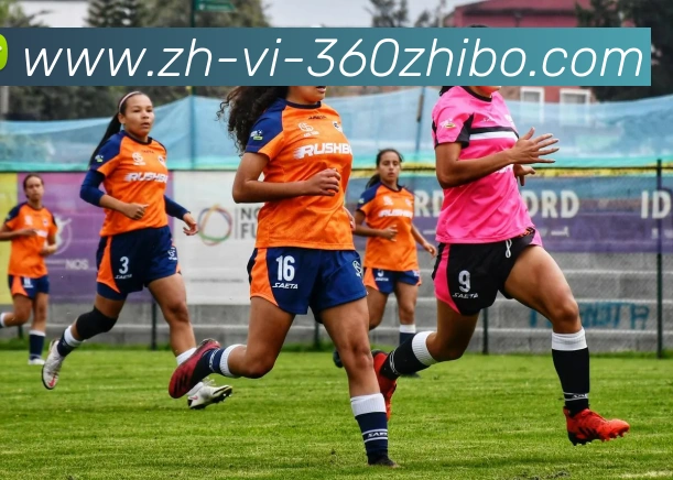 360直播服务体系